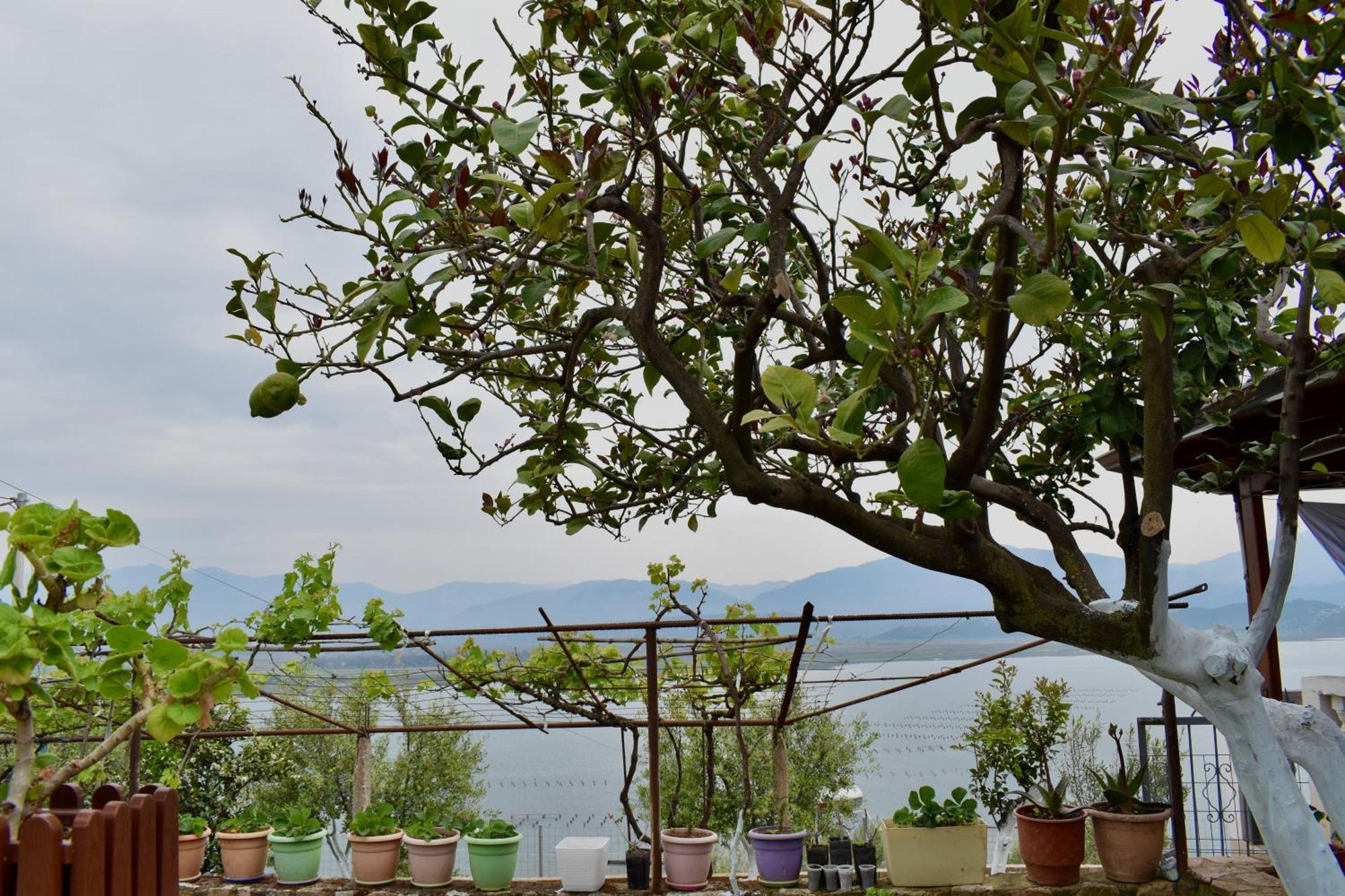 Ksamil Sea&Lake View Escape エクステリア 写真
